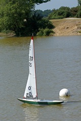 DSC00638 © Peter Taylor 2009