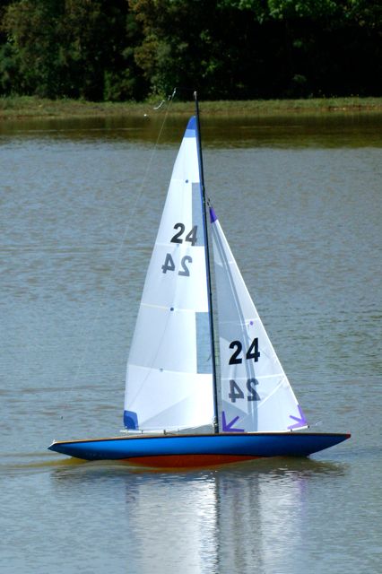 DSC00578 © Peter Taylor 2009