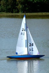 DSC00578 © Peter Taylor 2009