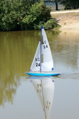 DSC00575 © Peter Taylor 2009
