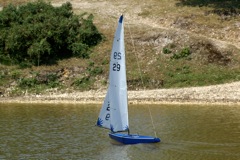 DSC00554 © Peter Taylor 2009