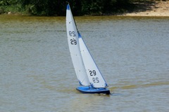 DSC00632 © Peter Taylor 2009