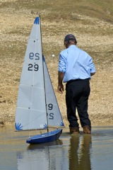 DSC00552 © Peter Taylor 2009