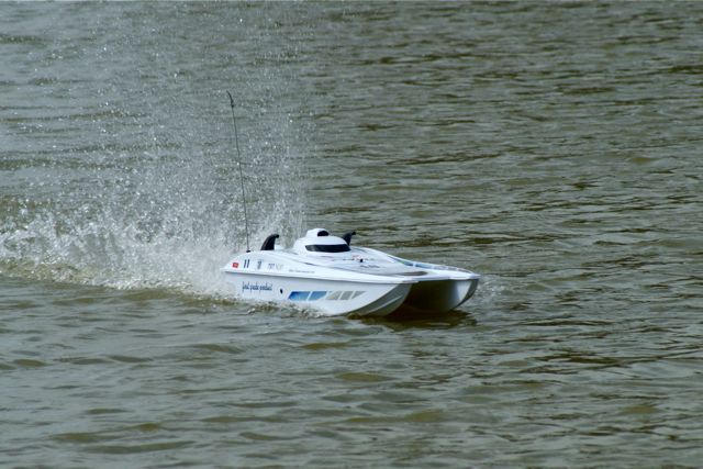 Admiral  DSC00981