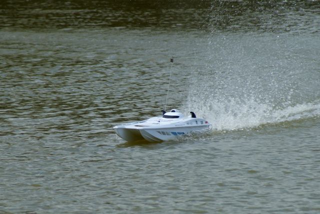 Admiral  DSC00989