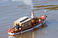 DSC07686 © Peter Taylor 2011