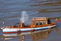 DSC07682 © Peter Taylor 2011