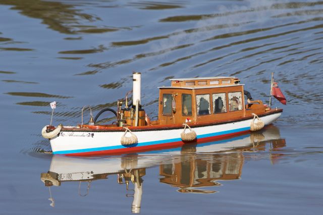 DSC07680 © Peter Taylor 2011