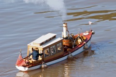 DSC07682 © Peter Taylor 2011
