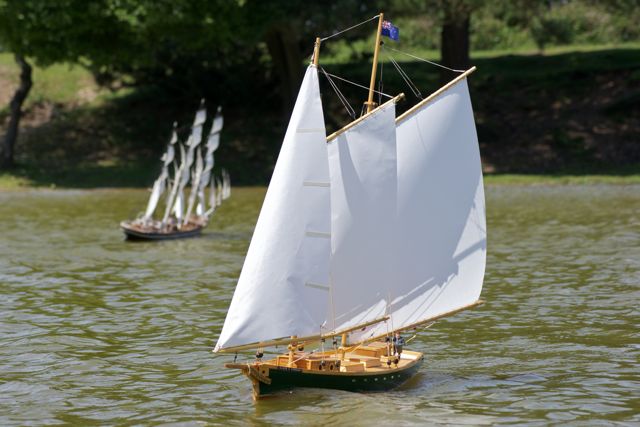 DSC00337 © Peter Taylor 2012
