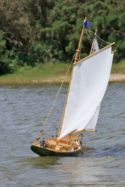 DSC00343 © Peter Taylor 2012