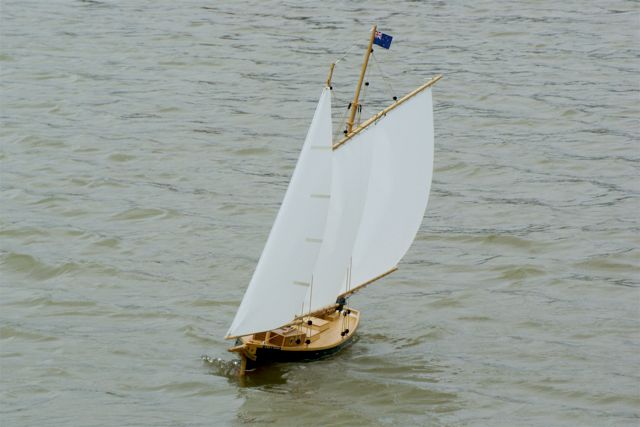 A100.07050510  © Peter Taylor 2007