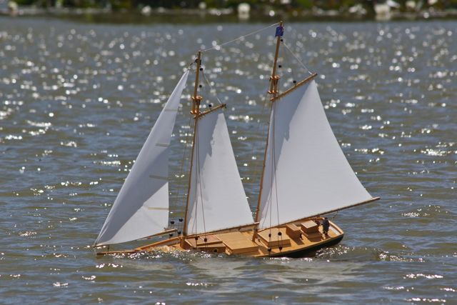 DSC00367 © Peter Taylor 2012