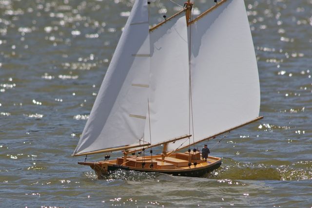 DSC00368 © Peter Taylor 2012