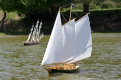DSC00337 © Peter Taylor 2012