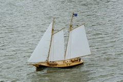 A100.07050511  © Peter Taylor 2007