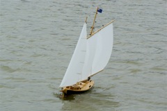A100.07050510  © Peter Taylor 2007
