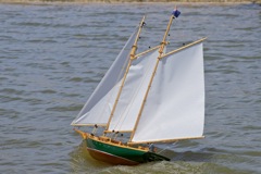 DSC00331 © Peter Taylor 2012