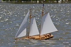 DSC00367 © Peter Taylor 2012
