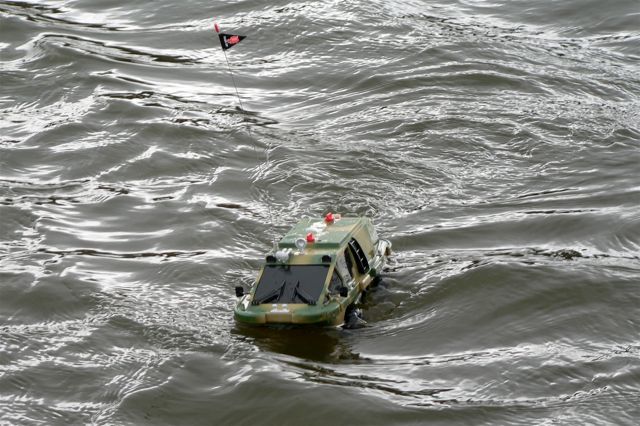 Amphibian (03)