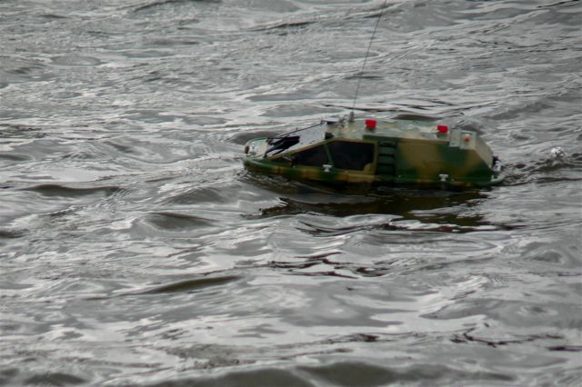 Amphibian (04)