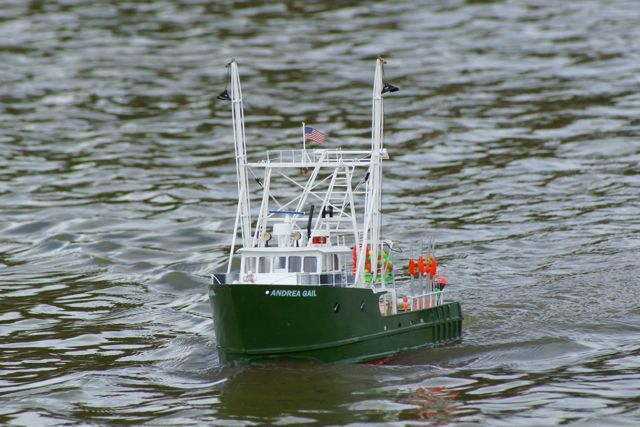 DSC00948 © Peter Taylor 2009