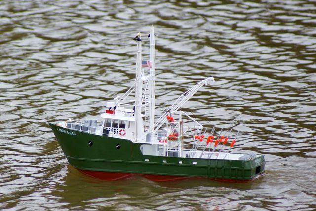 A100.07081104 © Peter Taylor 2007