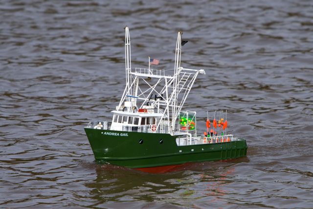 DSC04222 © Peter Taylor 2011