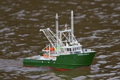 DSC04216 © Peter Taylor 2011