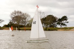 DSC07908 © Peter Taylor 2016