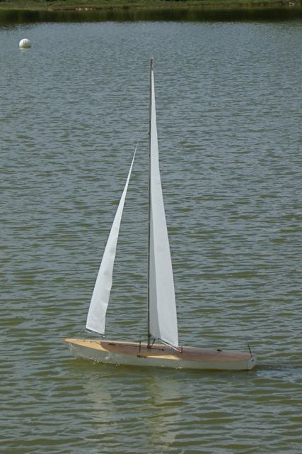 DSC00908 © Peter Taylor 2009