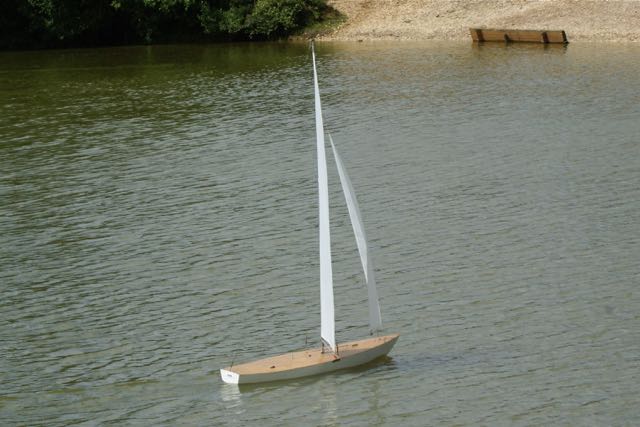 DSC00909 © Peter Taylor 2009