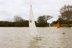 DSC07907 © Peter Taylor 2016