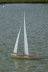 DSC00908 © Peter Taylor 2009