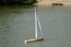 DSC00909 © Peter Taylor 2009