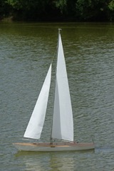 DSC00906 © Peter Taylor 2009