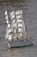 DSC04153 © Peter Taylor 2011