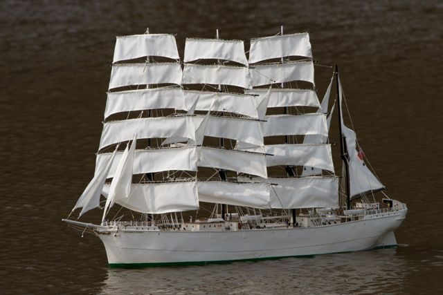 DSC04143 © Peter Taylor 2011