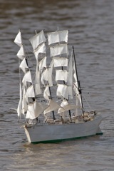 DSC04153 © Peter Taylor 2011