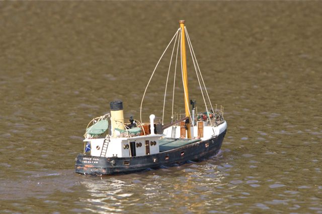 DSC09665 © Peter Taylor 2012