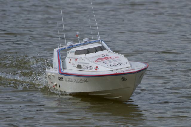 DSC01832 © Peter Taylor 2013