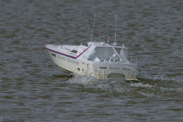 DSC01829 © Peter Taylor 2013