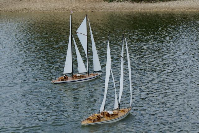 DSC01748 © Peter Taylor 2009