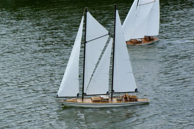 DSC01753 © Peter Taylor 2009