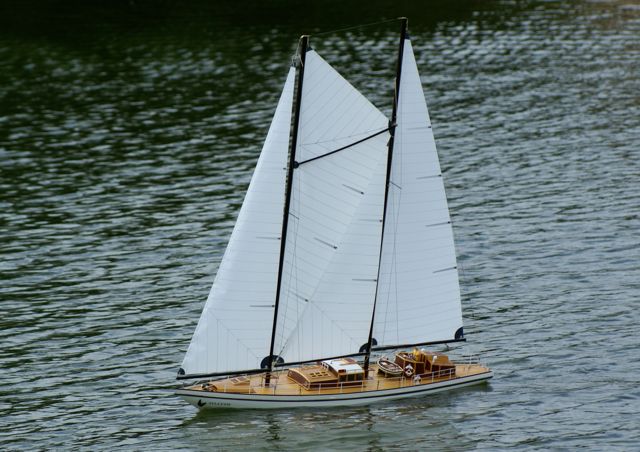 DSC01740 © Peter Taylor 2009