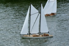 DSC01753 © Peter Taylor 2009