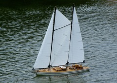 DSC01740 © Peter Taylor 2009