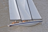 DSC03827 © Peter Taylor 2011