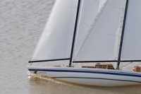DSC03807 © Peter Taylor 2011