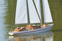 DSC00865 © Peter Taylor 2012